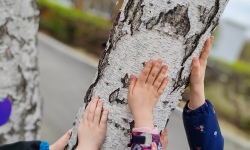 Экспериментальный геокешинг